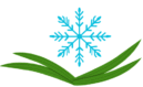 tecnicovalle.com